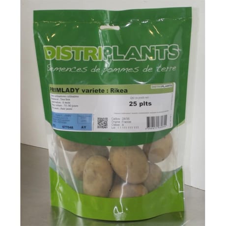 Rikea 28/35 clipack 25 plants