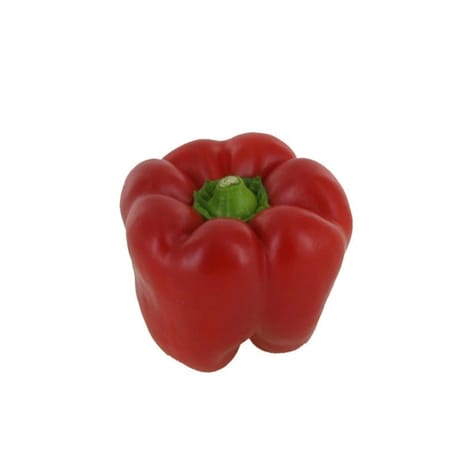 Poivron bio rouge