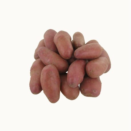 Pomme de terre rouge