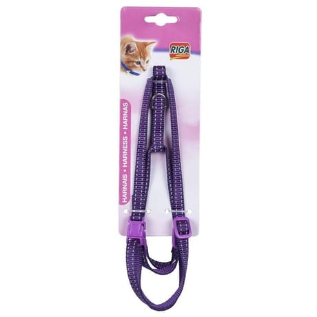 Riga harnais sangle gm pour chat