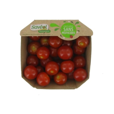 Tomate cerise ronde