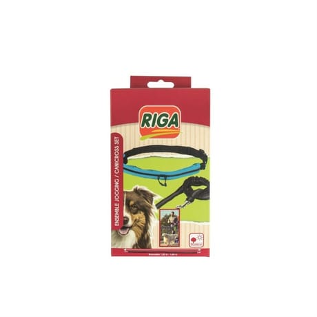 Riga canicross ceinture et laisse