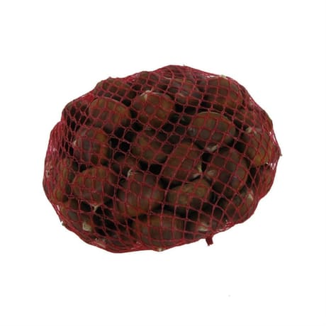 Marron filet 1kg