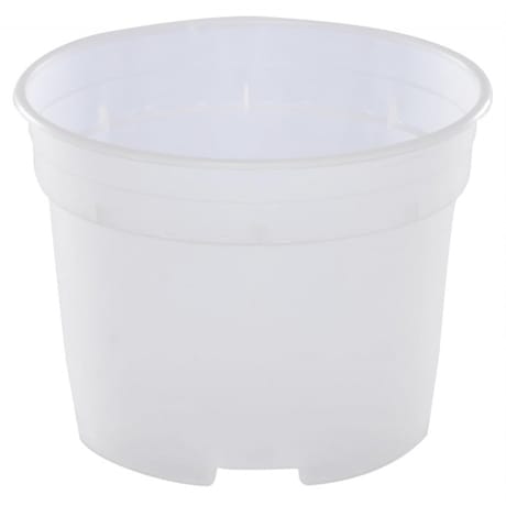 Riviera pot orchidées translucide diamètre 12 cm