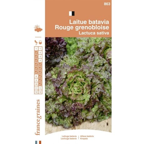France graines laitue batavia rouge grenobloise