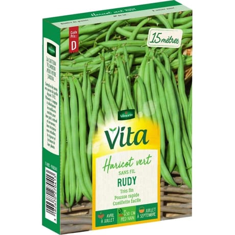 Vita Vilmorin haricot cordon bleu