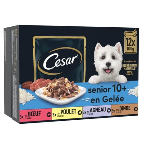 Cesar pâtée pour chien senior 4 variétés en gelée 12x100g