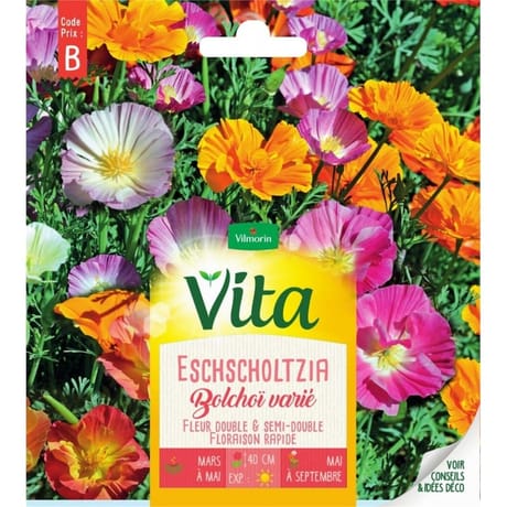 Vita Vilmorin eschscholtzia bochoi