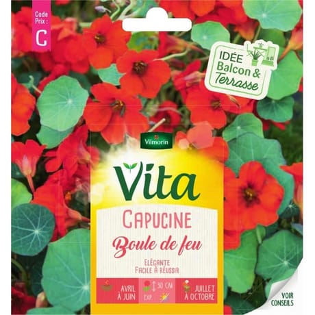 Vita Vilmorin capucine boule feu