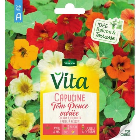 Vita Vilmorin capucine tom pouce mix