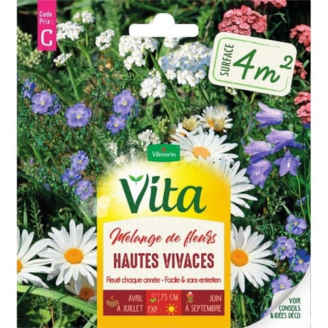 Vita Vilmorin melange fleurs hautes vivaces  4m2