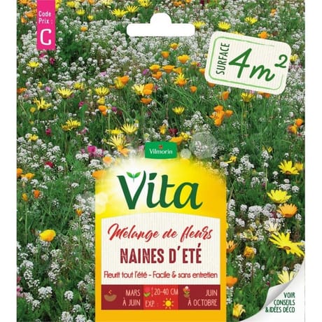 Vita Vilmorin melange fleur ete naine 4m2