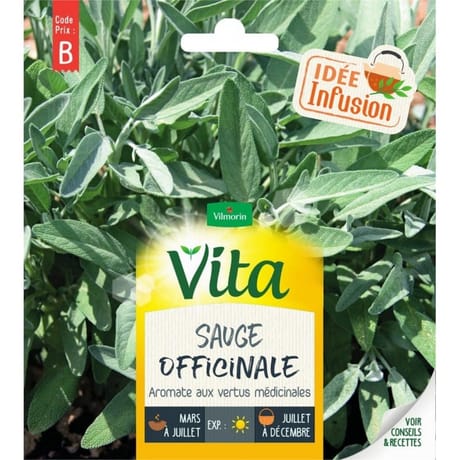 Vita vilmorin sauge officinale