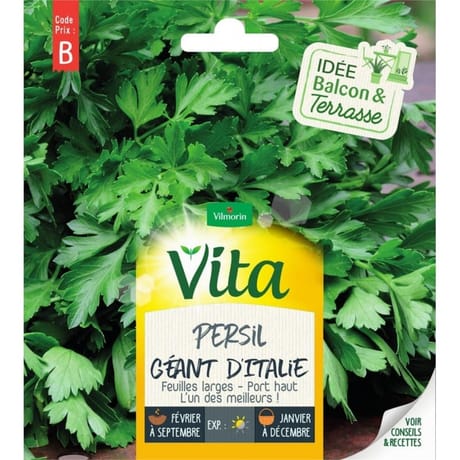 Vita vilmorin persil geant italie
