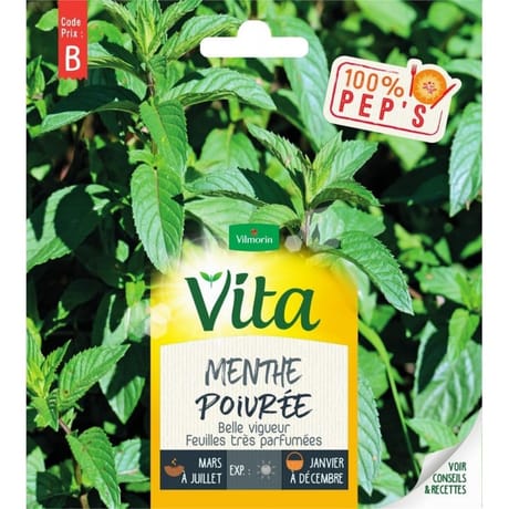 Vita vilmorin menthe poivree