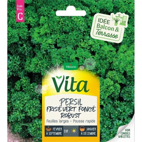 Vita vilmorin persil frise robust