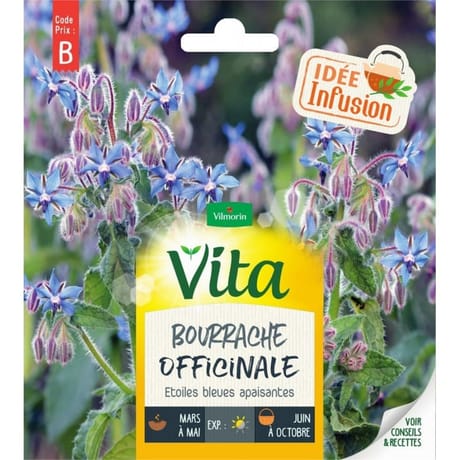 Vita Vilmorin bourrache