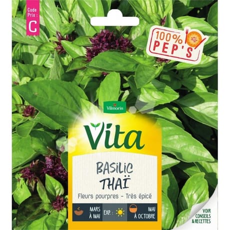 Vita Vilmorin basilic thai