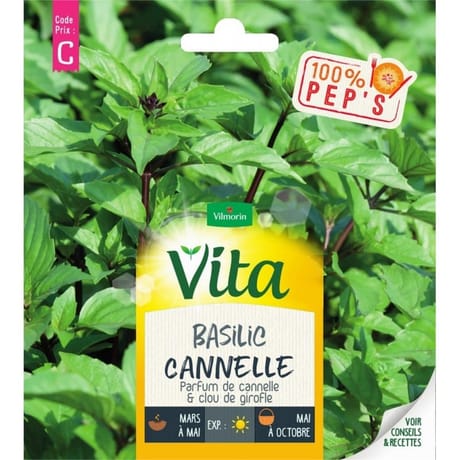 Vita Vilmorin basilic cannelle