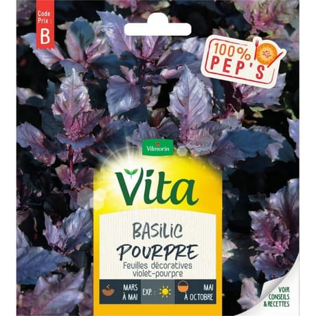 Vita Vilmorin basilic pourpre