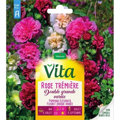 Vita Vilmorin rose tremiere double