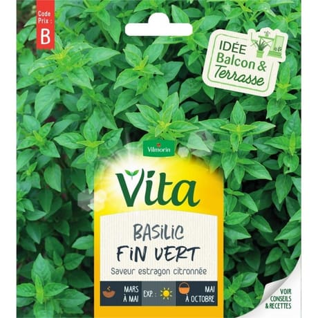 Vita Vilmorin basilic fin vert