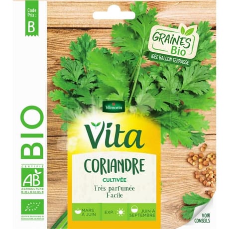 Vita vilmorin coriandre bio