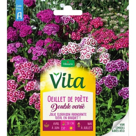 Vita Vilmorin oeillet poete double mix