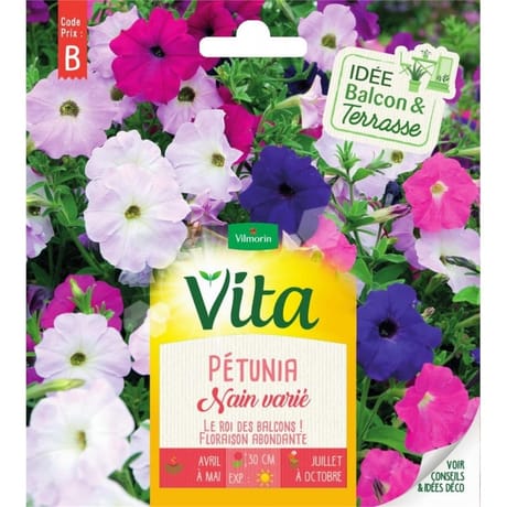 Vita Vilmorin petunia nain compact mix