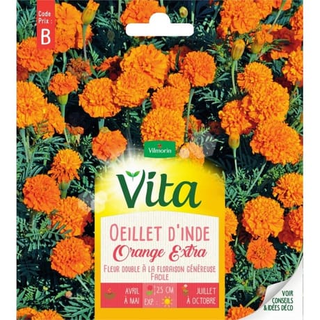 Vita Vilmorin oeillet inde double orange
