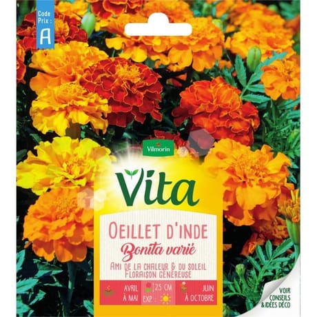 Vita Vilmorin oeillet inde bonita double