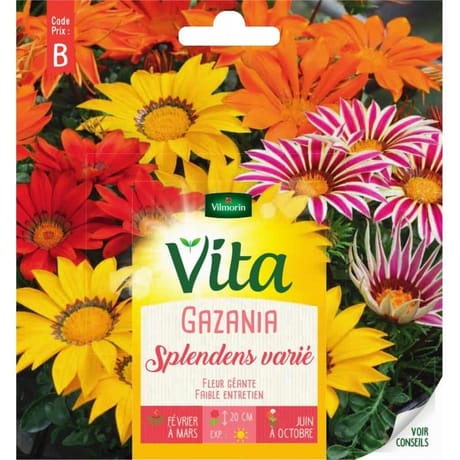 Vita Vilmorin gazania splendens varie