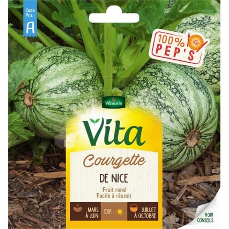Vita Vilmorin courgette nice