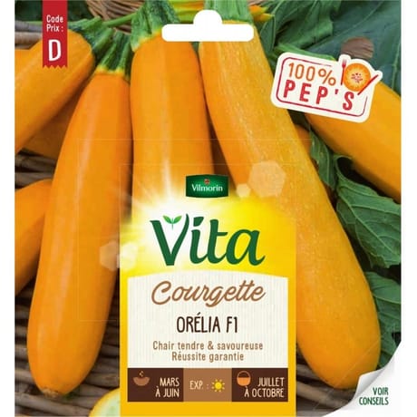 Vita Vilmorin courgette orelia f1
