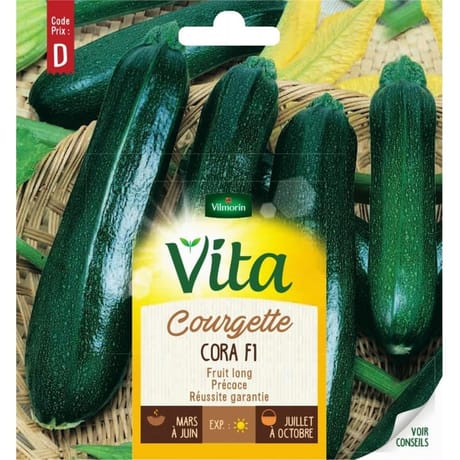 Vita Vilmorin courgette cora hf1
