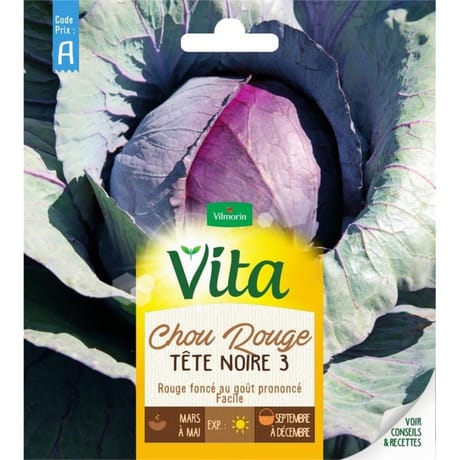 Vita Vilmorin chou rouge tete noire 3