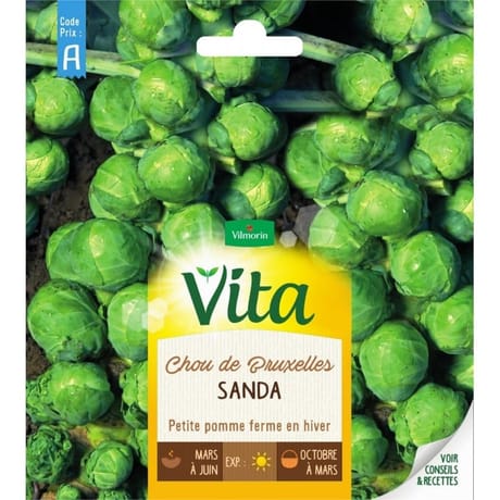 Vita Vilmorin chou bruxelles sanda