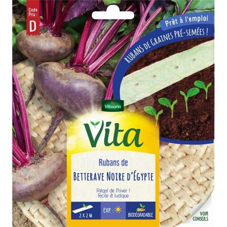 Vita Vilmorin ruban betterave noire egypte 2x2m