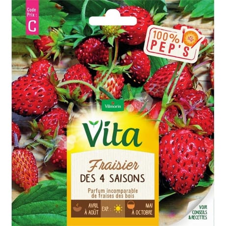 Vita Vilmorin fraisier 4 saisons