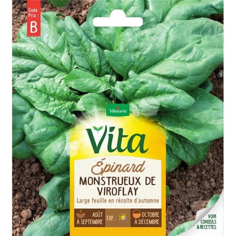 Vita Vilmorin epinard viroflay