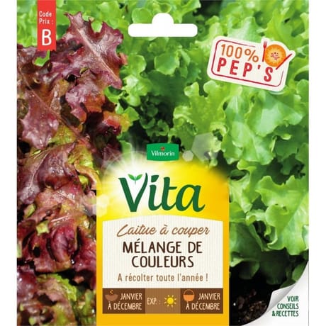 Vita Vilmorin laitue a couper melange de couleurs