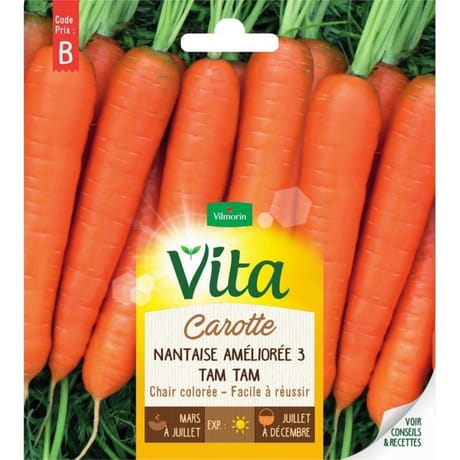 Vita Vilmorin carotte nantaise  3 race tamtam