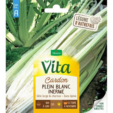Vita Vilmorin cardon plein inerme