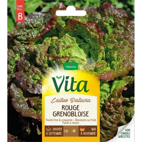 Vita Vilmorin laitue batavia rouge grenobloise