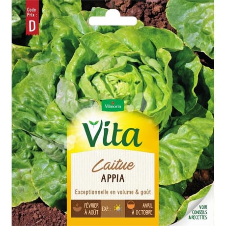 Vita Vilmorin laitue appia