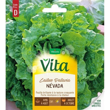 Vita Vilmorin laitue batavia nevada