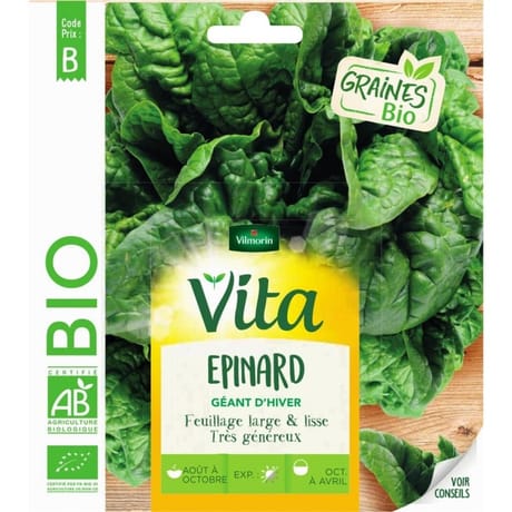 Vita vilmorin epinard geant hiver bio