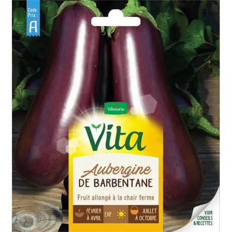 Vita Vilmorin aubergine barbentane