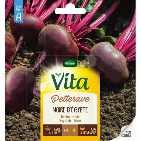 Vita Vilmorin betterave noire egypte