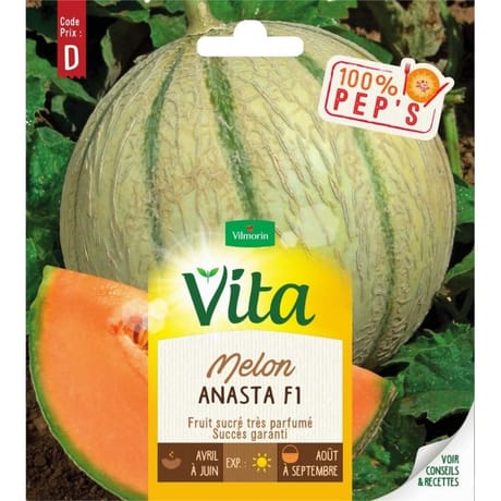 Vita Vilmorin melon anasta